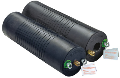 cepi-1